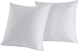 Set Of 2, 95% Feather 5% Down Square Decorative Throw Pillow Insert,, 24X24 Inch - $50.93