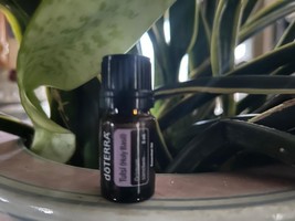 doTERRA Tulsi Basil 5 mL NEW &amp; SEALED Exp 06/26 - $478.67 MXN