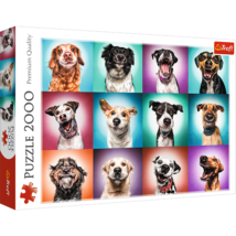 2000 piece Jigsaw Puzzles - Funny dog portraits II, Pets Puzzle, Adult Puzzles, - $41.64 CAD