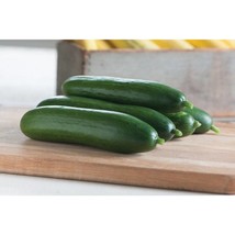 USA SELLER Diva Cucumber Seeds Fast Shipping - $9.80