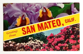 Greetings from San Mateo CA Flowers Split View Mike Roberts UNP Postcard c1960s - £7.96 GBP