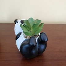 Panda Animal Planter with Faux Succulent, Cement Pot and Artificial Plant, 4" image 3