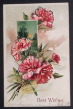 Best Wishes Mica Embellished Carnations Flowers Scenic Embossed Postcard c1900s - £7.81 GBP