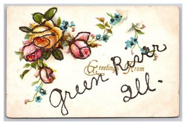 Generic Floral Greetings Roses Green River Illinois IL DB Postcard w Micah Z2 - £5.41 GBP