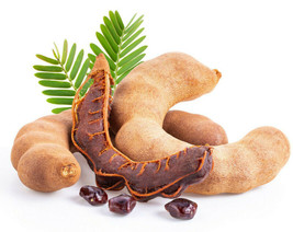 THJAR 10 Tamarind Seeds (Tamarindus indica) Tropical Edible Fruit Tree, - $7.43