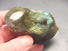 Item image 1 image 1