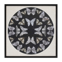 Framed Butterfly Print 25&quot;SQ - $53.48