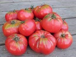 KBS 50 Seeds Caspian Pink Tomato Juicy Tomatoe Vegetable Edible Food Hom... - $11.12