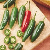 300 Serrano Hot Chili Pepper Seeds Fresh Seeds USA - £14.74 GBP