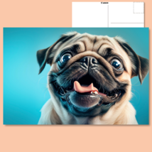  &quot;Puppy Peepers: Pug With Big, Adorable Eyes&quot; - Irresistible Postcard! Dog - £4.74 GBP