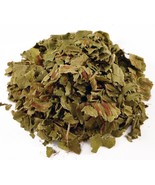 Hart&#39;s Tongue Fern leaf Herbal Tea- for cough, Asplenium scolopendrium - £6.61 GBP+