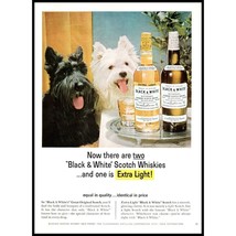 1965 Buchanan&#39;s Black &amp; White Scotch Vintage Print Ad Scottie Dog Wall Art - £8.66 GBP