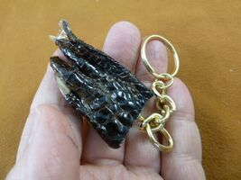 (G120-46) 2&quot; long Gator FOOT Keychain PAW ALLIGATOR TAXIDERMY med claw w... - €8,17 EUR