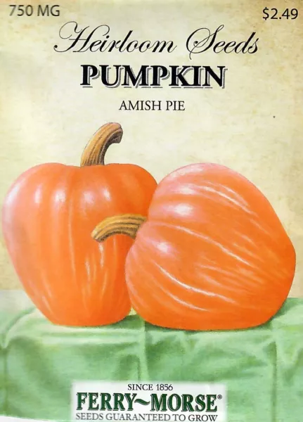 Pumpkin Amish Pie Vegetable Seeds - Non-Gmo Ferry Morse 12/24 Fresh Garden - $8.50
