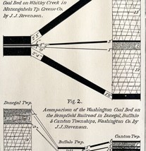 Coal Outcrop Comparisons 1876 Geological Survey Pennsylvania Victorian DWAA3C - £19.94 GBP