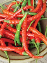 30 Seeds of Pepper Hot Cayenne Red Long  Vegetable Seeds Plant - £10.90 GBP