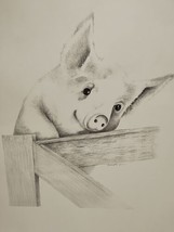 Charlotte Young Pig Sketch 10.5&quot; X 13.5&quot; With Certificate Of Authenticity - £46.97 GBP