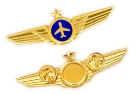 Airlines Pilot Wings Captains Gold Metal Airplane Pin With Dome - $9.89