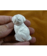 (Y-DOG-SH-558) SHAR PEI PUG dog SHARPEI White Howlite FIGURINE gemstone ... - €11,91 EUR