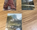 Lot of 3 Vintage Yosemite National Park Postcards Travel Redwoods  KG JD - $12.38