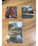 Lot of 3 Vintage Yosemite National Park Postcards Travel Redwoods  KG JD - $231.28 MXN