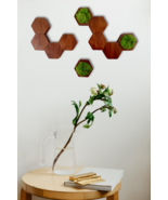 Hexagon Wall Decor Bundle- 10pcs with Moss Accents for Modern art, Handmade Gift - $98.00