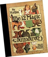 Children&#39;s BOOK: The Twelve / 12 Magic Changelings by Glen, M. A. / Fred... - $53.31