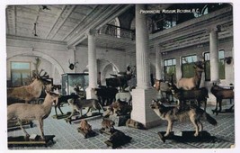 British Columbia BC Postcard Victoria Provincial Museum Wild Animals Valentine - £2.84 GBP