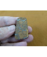 O-142 rough freeform rectangular sparkle white Yowah specimen stone Aust... - $1,066.94 MXN