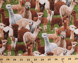 Farm Animals Llamas Alpacas South America Green Cotton Fabric Print D505.14 - £8.37 GBP