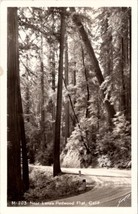 California Near Lane&#39;s Redwood Flat RPPC Sawyers Postcard Z27 - £7.13 GBP