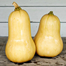 Waltham Butternut Winter Squash Nongmo Organic 30 Seeds Garden Delicious /Ts - £6.16 GBP