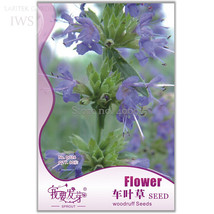 SL Woodruff Seeds Aromatic Blue Small Flower Seeds, Original Pack, 60 Seeds, Bon - £1.09 GBP