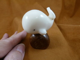 TNE-WHA-229a) little white WHALE TAGUA NUT palm figurine carving Moby wh... - £14.39 GBP