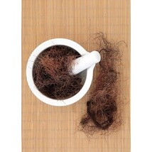 Pure Herbs: Cornsilk - 1 oz. (Natural Herbal Extracts) image 3