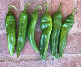 AD 25 Nu Mex Joe E Parker Pepper Seeds Home Garden - $247.16 MXN