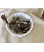 Sage large  Pinecone Fire Starter-  TWO soy pinecone fire starterS - $5.00