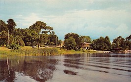 Winter Haven Florida As Seen From Spring Lake Postcard 1960s - £7.36 GBP