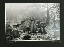 Dan Westfall Photograph London Cemetery Gravestones Black Crow Photo Art Europe  - £18.66 GBP