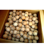 LOT OF 25 PIECES NEW UNFINISHED SANDED SOLID WOODEN BALLS 1 3/4&quot; ROUND W... - $37.84 CAD