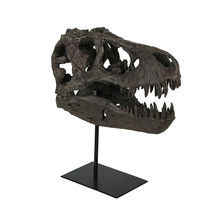 Zeckos T-Rex Dinosaur Skull Mounted Tyrannosaurus Rex Fossil Statue - £93.19 GBP