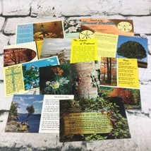 Collectible Postcard Lot Of 12 Trees Nature Driftwood Prayer Of The Wood... - $19.79