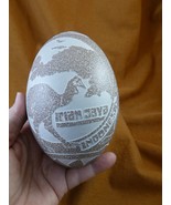 w2-10 Rhea bird Egg etched &quot;Irian Saya&quot; Australian kangaroo Tiki flowers... - $258.83 CAD