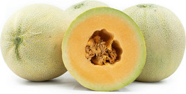 PS Sugar Kiss Cantaloupe Melon Seeds Fast Grow - $166.68 MXN