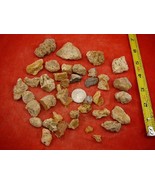 (k-4023) 100 g Rare Kauri tree Gum chips copal Amber New Zealand Tane Ma... - $63.57