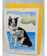 Simon Drew Dartmouth Get Well Soon Dog Pet Card - $19.80