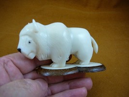 (TNE-BUF-449C) Buffalo bison TAGUA NUT Figurine carving Vegetable love b... - £27.06 GBP
