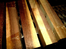 Eight (8) Sappy Black Walnut Turning Lathe Blanks Wood Lumber 2&quot; X 2&quot; X 11&quot; - £26.80 GBP