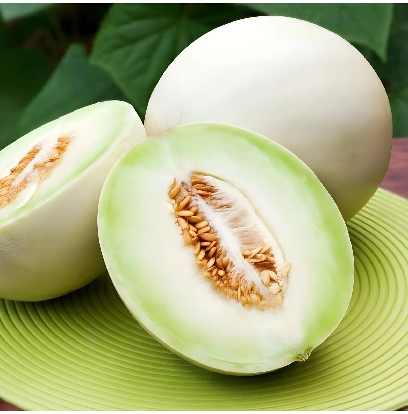 40 Premium Heirloom Green Flesh Honeydew Melon Seeds - Super Sweet&amp;Tart - $7.93