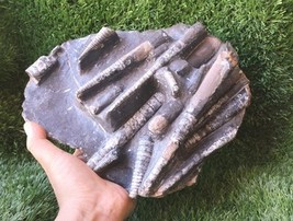 Item image 12